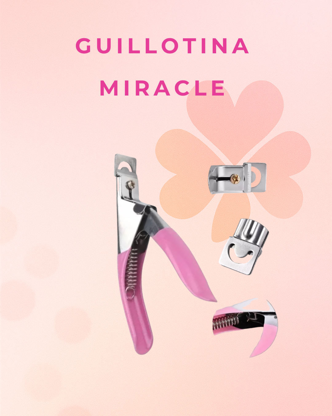 Guillotina Miracle