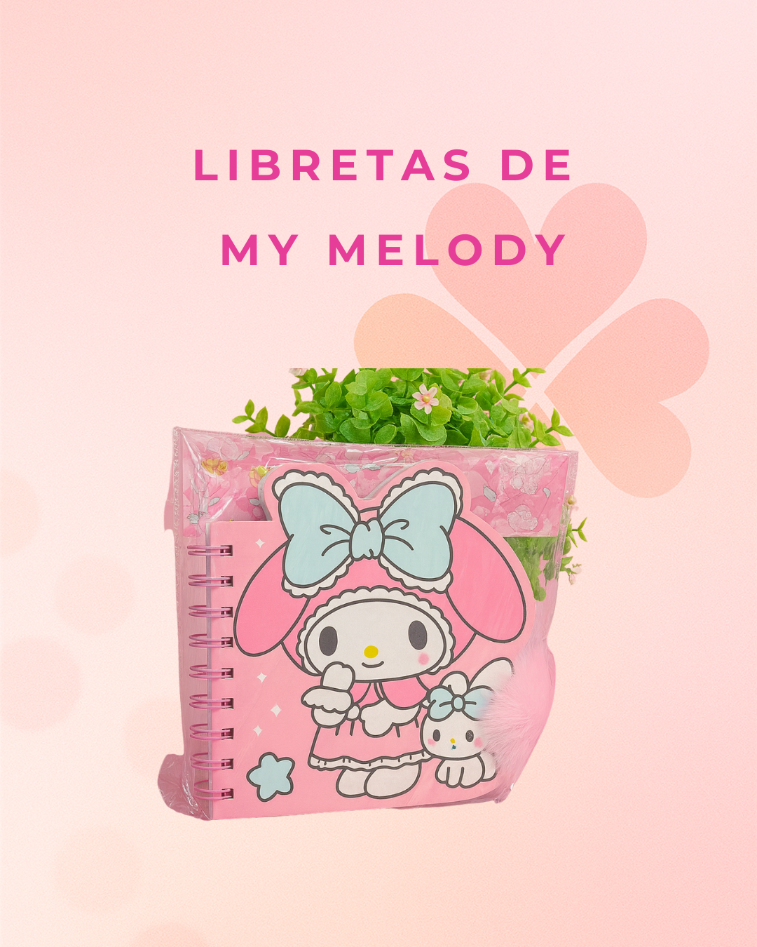 Libretas de My Melody